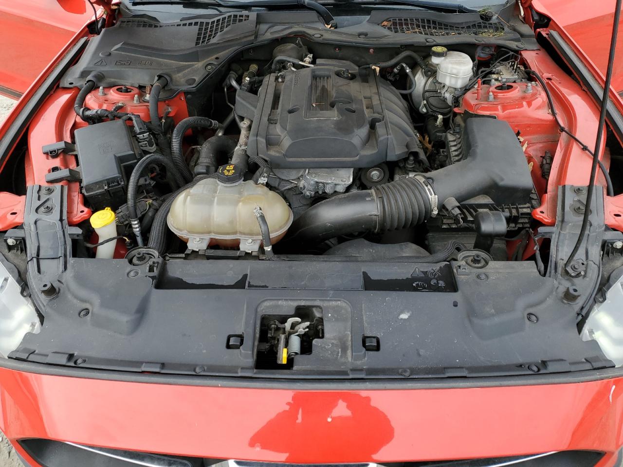 2019 Ford Mustang VIN 1FA6P8TH9K5132160 Copart auction photo, side damage thumbnail 11