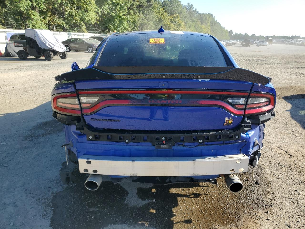 2021 Dodge Charger VIN 2C3CDXGJ5MH611706 Copart auction photo, side / rear end damage thumbnail 6