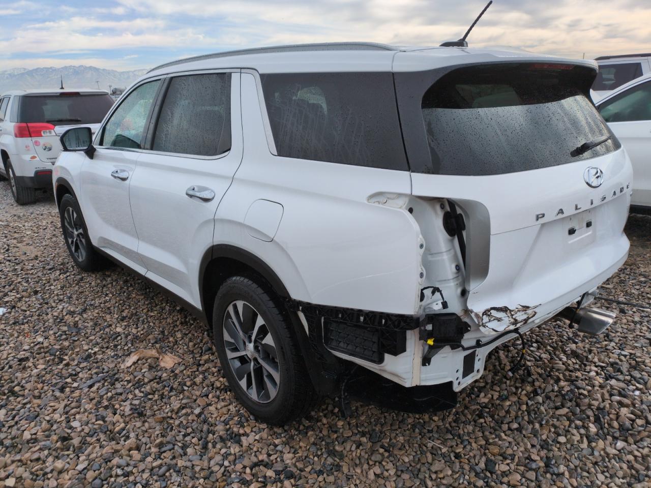 2020 Hyundai Palisade VIN KM8R2DHE9LU055774 Copart auction photo, side / rear end damage thumbnail 2