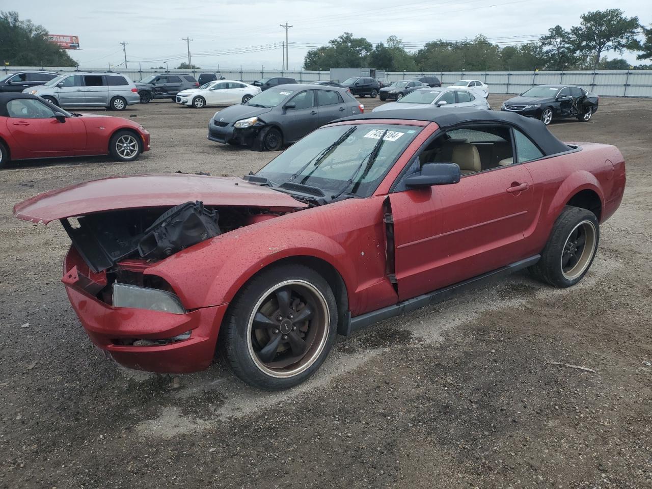 2005 Ford Mustang VIN 1ZVFT84NX55199880