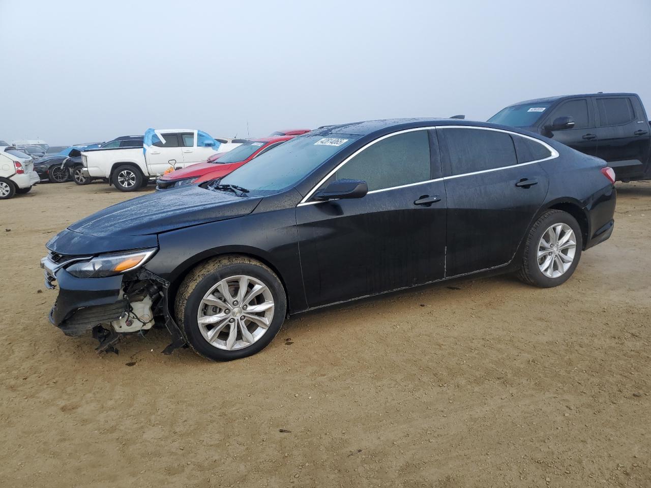 2019 Chevrolet Malibu VIN 1G1ZD5ST3KF171463