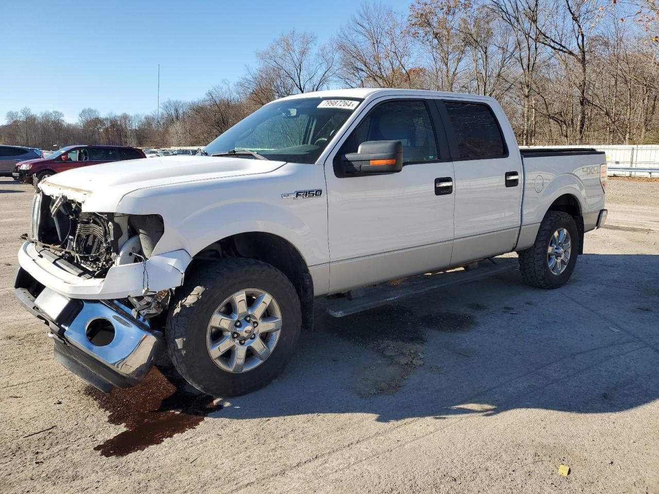 2013 Ford F-150 VIN 1FTFW1EF8DFA52491