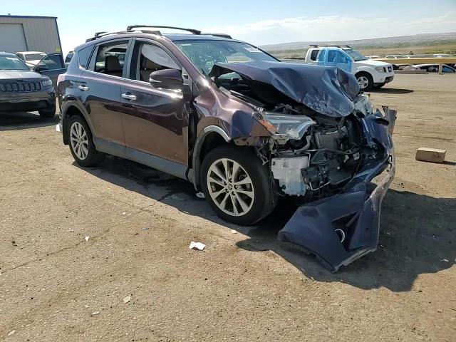 2016 Toyota RAV 4 VIN 2T3DFREV9GW478397 Copart auction photo, front end damage thumbnail 14