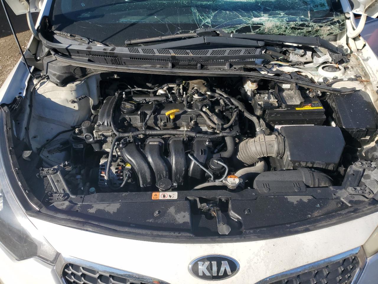 2016 KIA Forte VIN KNAFZ4A82G5552038 Copart auction photo, front end damage thumbnail 11