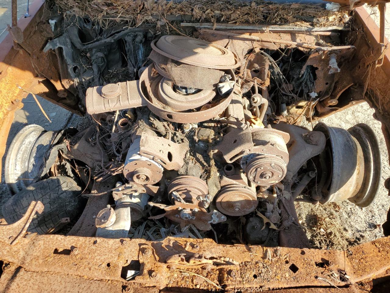 1986 Chevrolet Monte Carlo VIN 1G1GZ37G0GR109100 Copart auction photo, burn damage thumbnail 11