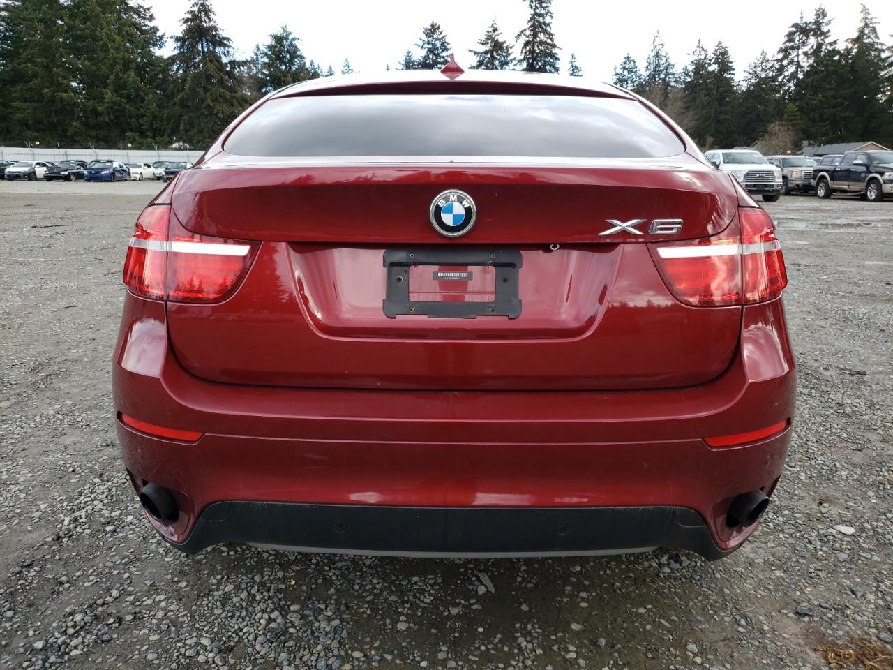 2013 BMW X6 VIN 5UXFG2C5XDL783341 Copart auction photo, front end damage thumbnail 6