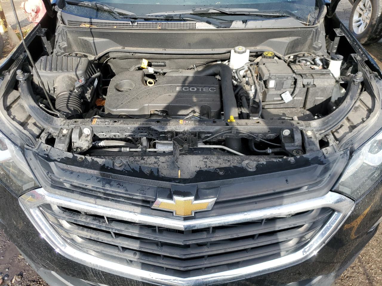2020 Chevrolet Equinox VIN 3GNAXTEVXLL254836 Copart auction photo, side damage thumbnail 12