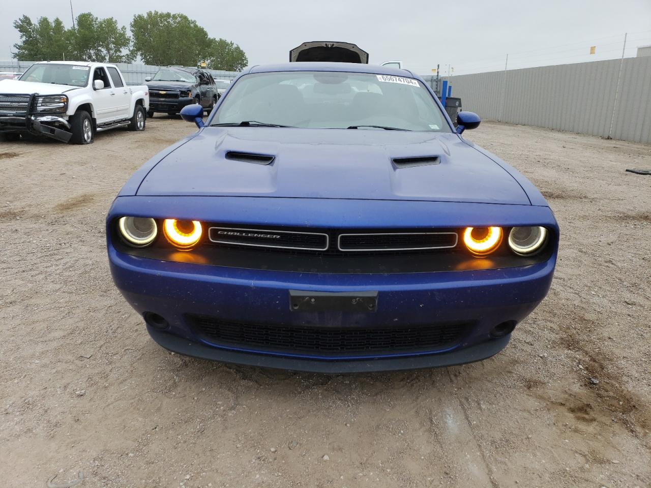 2019 Dodge Challenger VIN 2C3CDZGG9KH713006 Copart auction photo, hail damage thumbnail 5