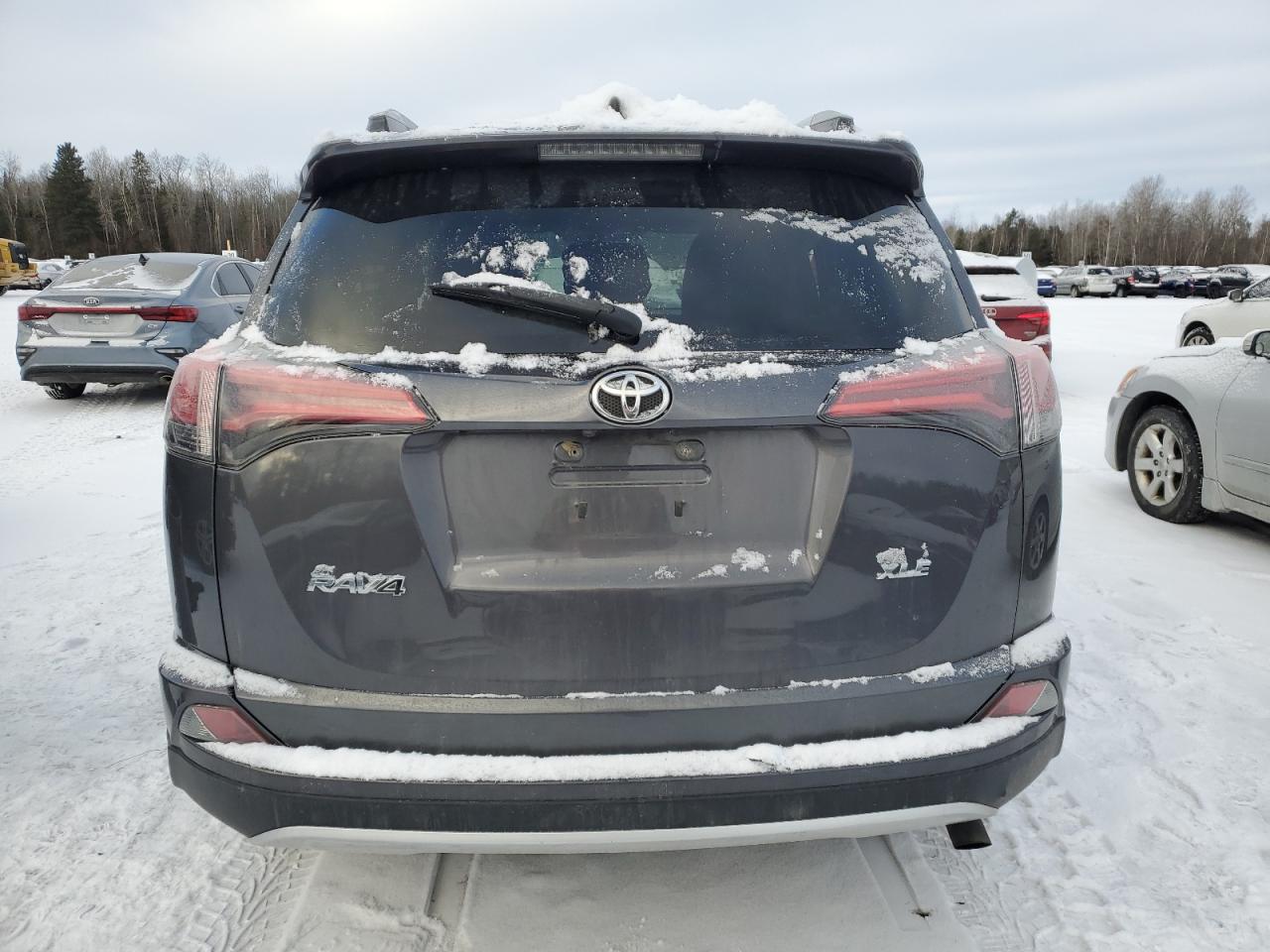 2016 Toyota RAV 4 VIN 2T3WFREV7GW250908 Copart auction photo, side damage thumbnail 6