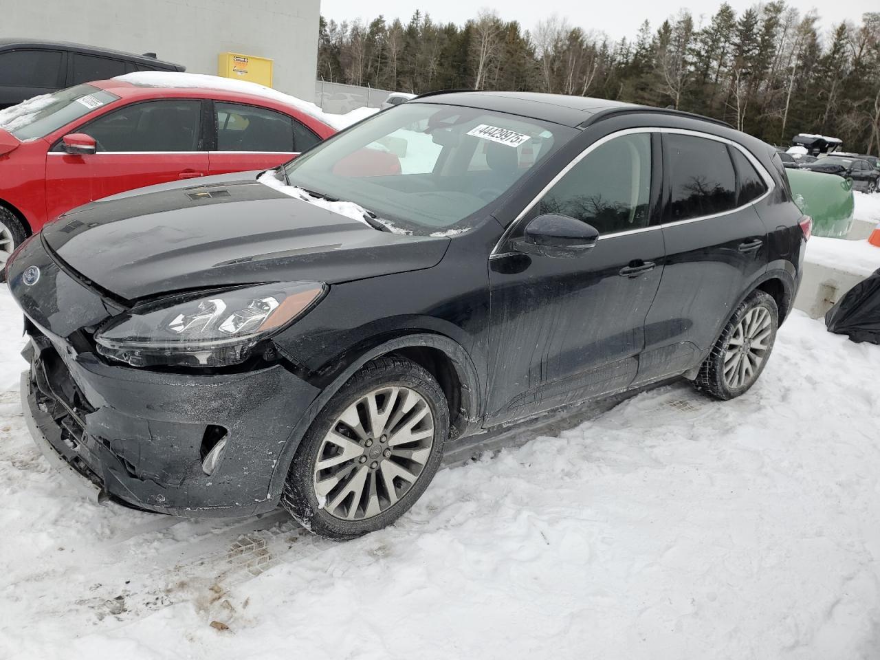 2020 Ford Escape VIN 1FMCU9J9XLUC45979