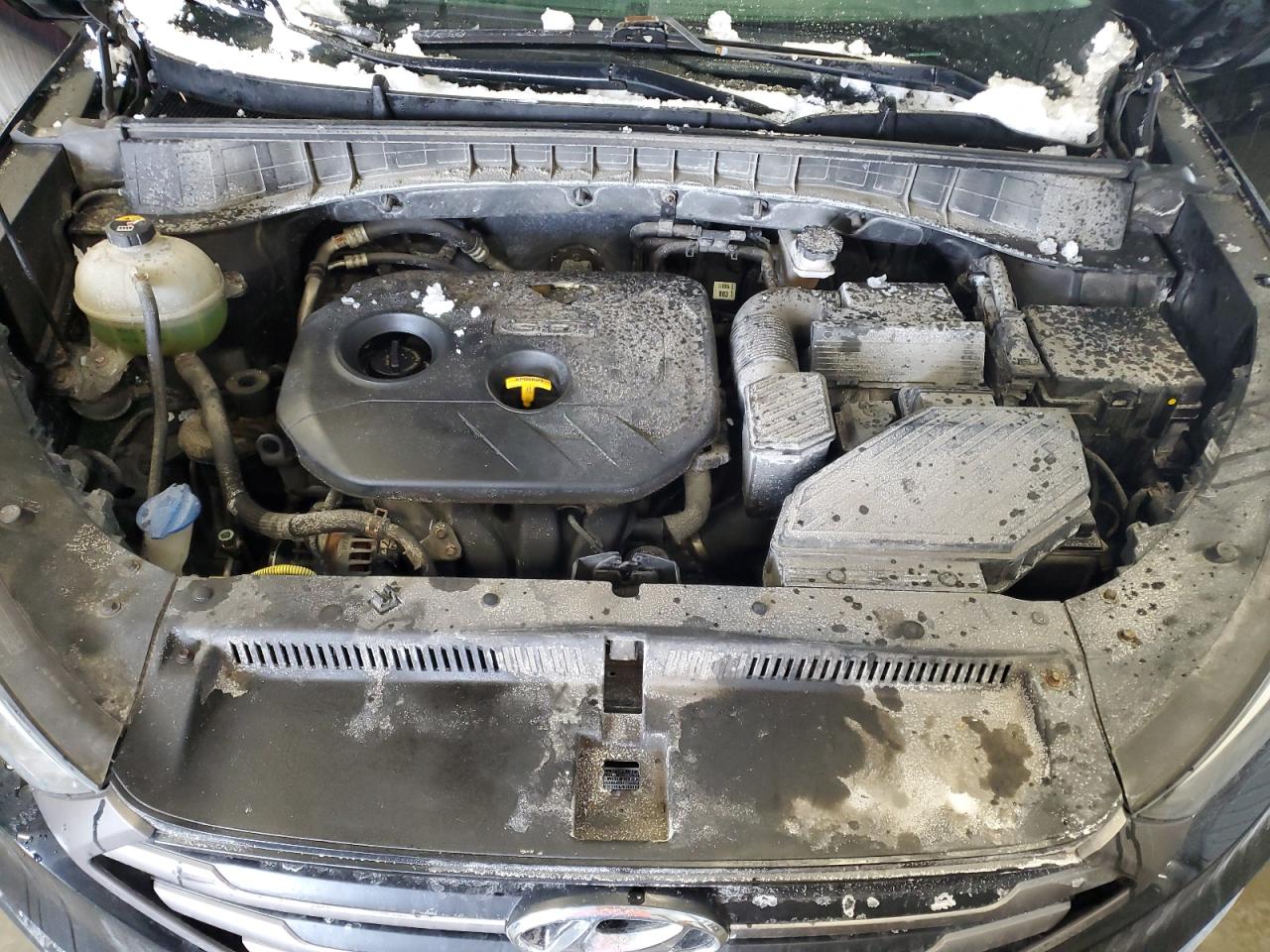 2016 Hyundai Tucson VIN KM8J3CA42GU101019 Copart auction photo, hail / undercarriage damage thumbnail 12