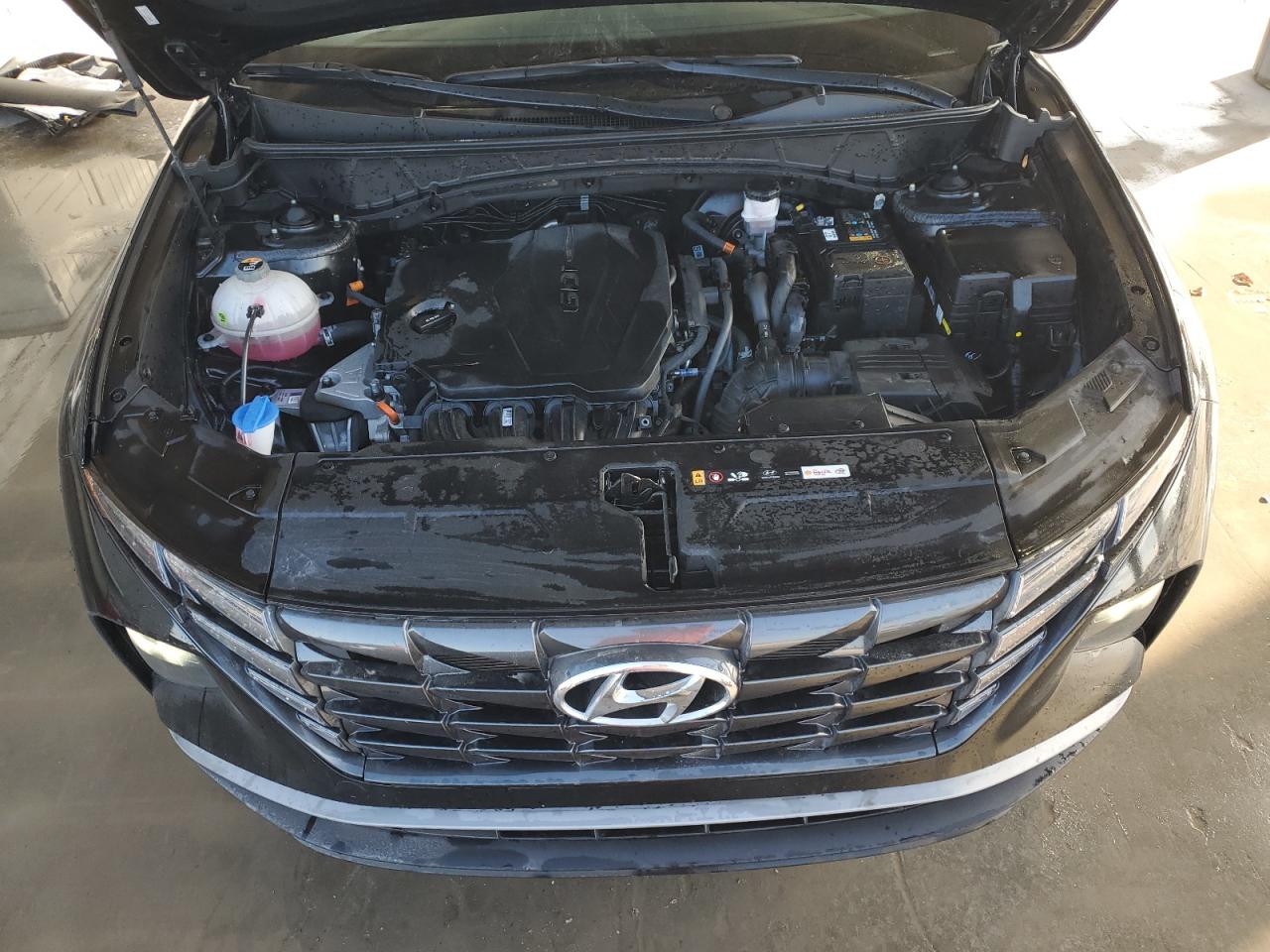 2023 Hyundai Tucson VIN KM8JBCAE3PU224839 Copart auction photo, side / minor dent/scratches damage thumbnail 12