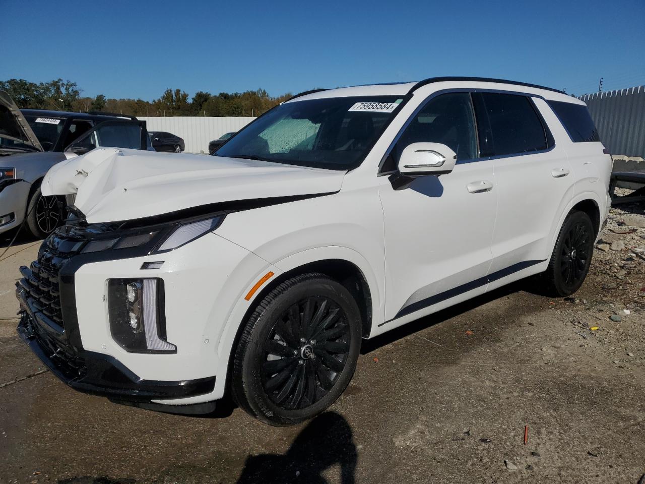 2024 Hyundai Palisade VIN KM8R7DGE5RU729365
