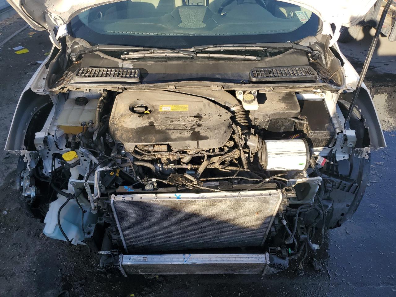 2014 Ford Escape VIN 1FMCU0JX2EUB15725 Copart auction photo, front end / hail damage thumbnail 12