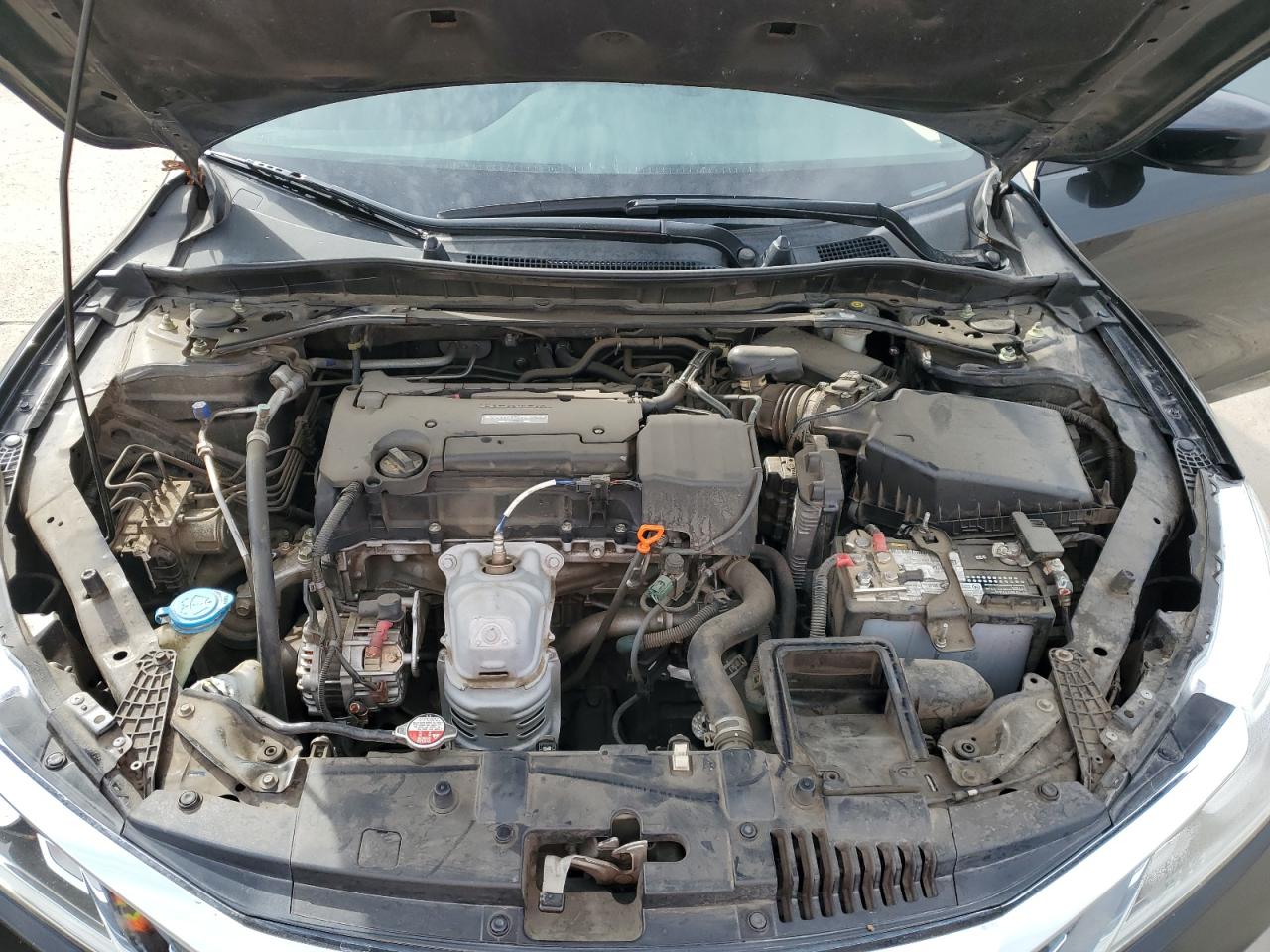 2017 Honda Accord VIN 1HGCR2F50HA238701 Copart auction photo, side / minor dent/scratches damage thumbnail 11