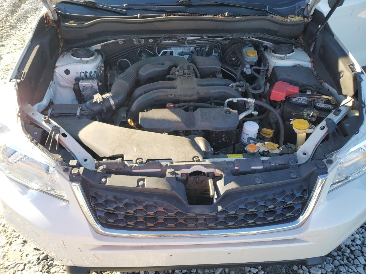 2016 Subaru Forester VIN JF2SJADC0GH504447 Copart auction photo, side damage thumbnail 11