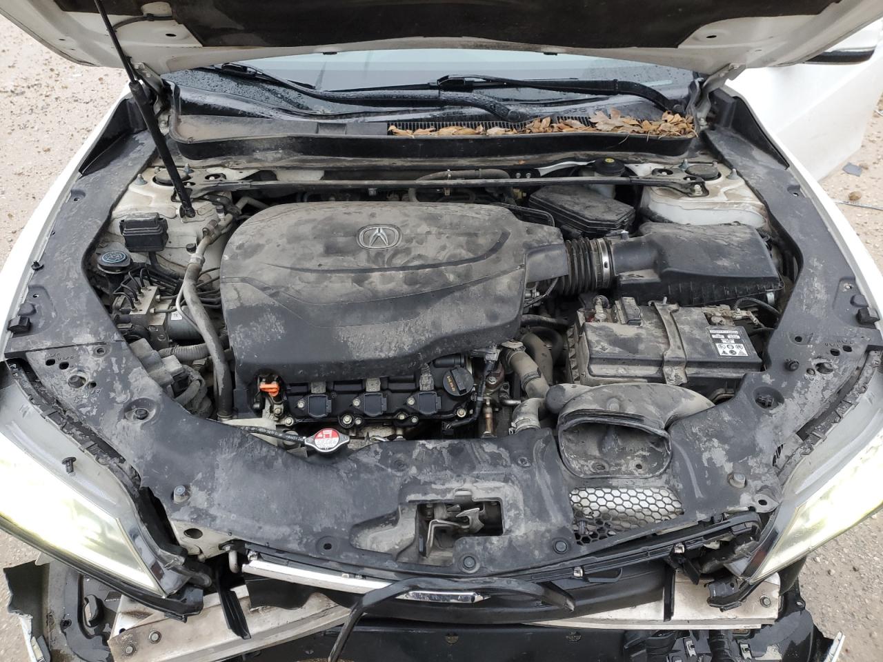 2015 Acura TLX VIN 19UUB2F53FA023559 Copart auction photo, front end / frame damage damage thumbnail 13