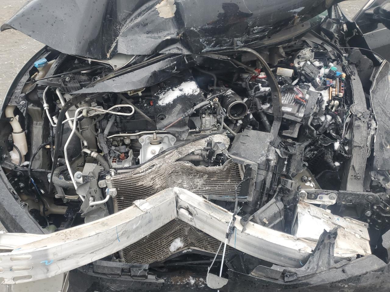 2016 Honda Civic VIN 19XFC2F75GE053991 Copart auction photo, front end / rear end damage thumbnail 12