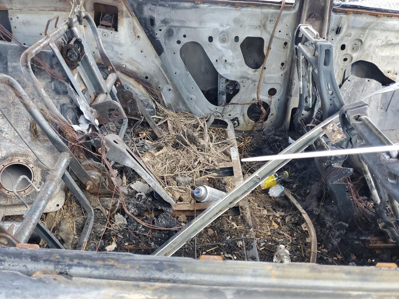 2015 Chevrolet Equinox VIN 2GNALBEK0F1152253 Copart auction photo, burn damage thumbnail 11