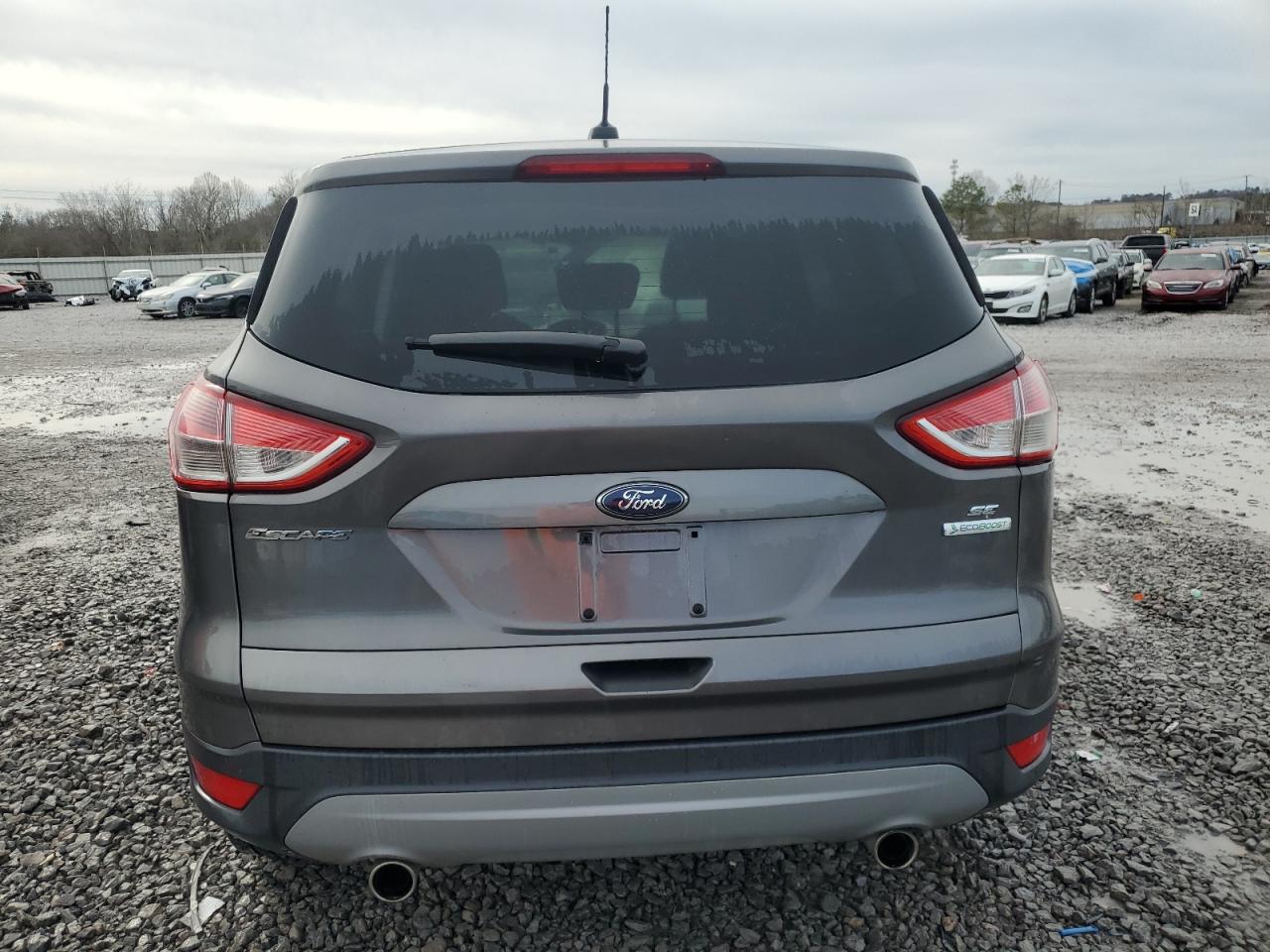 2013 Ford Escape VIN 1FMCU0GX9DUD07584 Copart auction photo, side / minor dent/scratches damage thumbnail 6