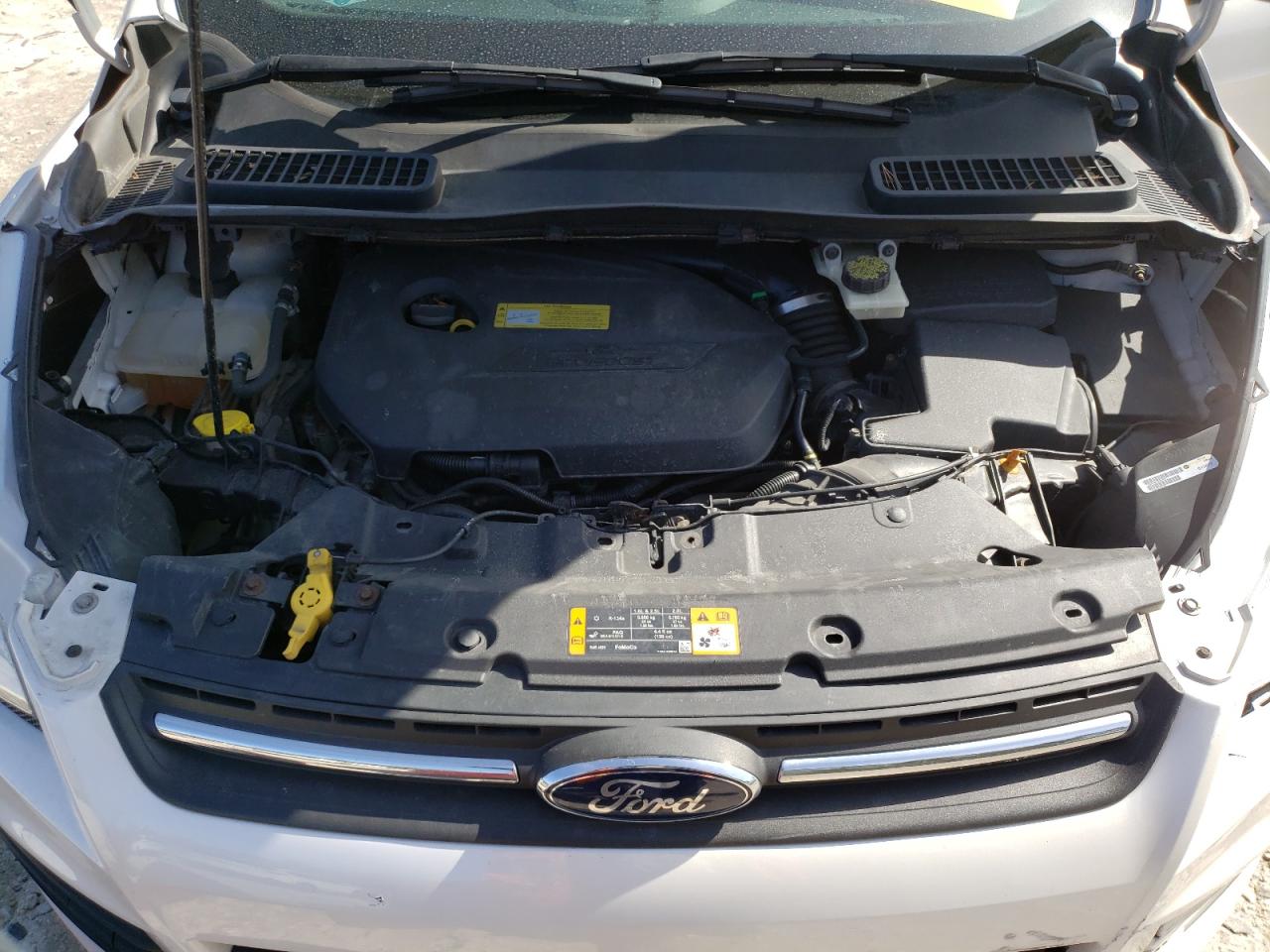 2014 Ford Escape VIN 1FMCU9GX9EUA33843 Copart auction photo, side / front end damage thumbnail 12