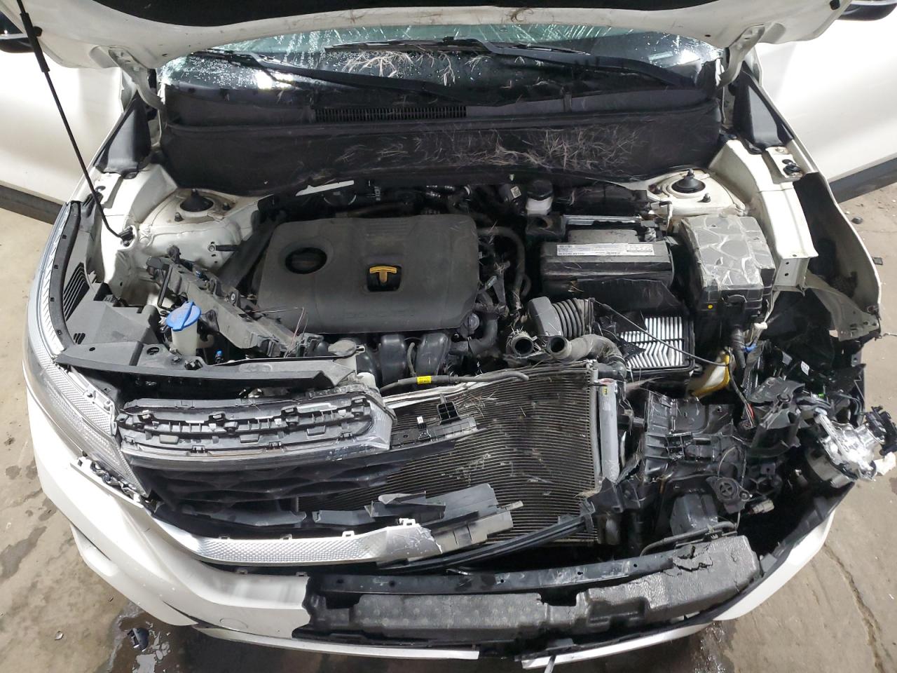 2021 KIA Seltos VIN KNDEU2AAXM7147730 Copart auction photo, front end damage thumbnail 12