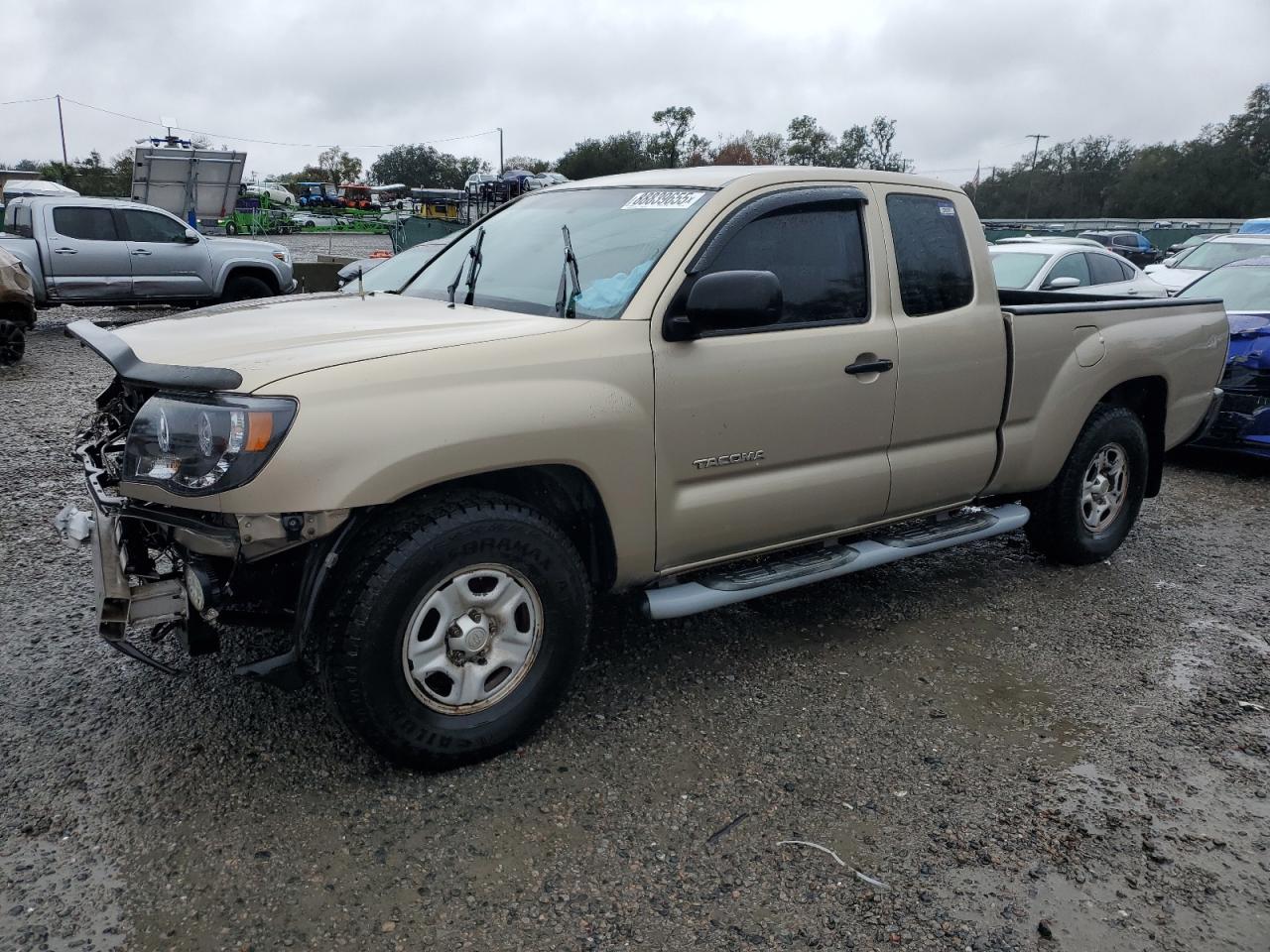 2006 Toyota Tacoma VIN 5TETX22N36Z217564