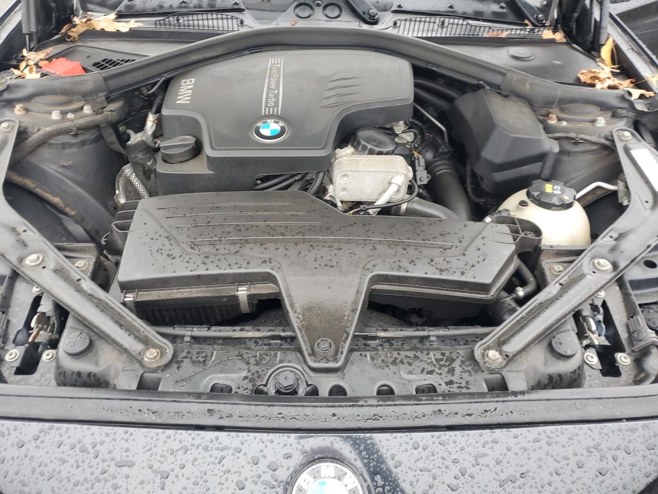 2015 BMW 2er VIN WBA1K7C55FV473349 Copart auction photo, side damage thumbnail 11