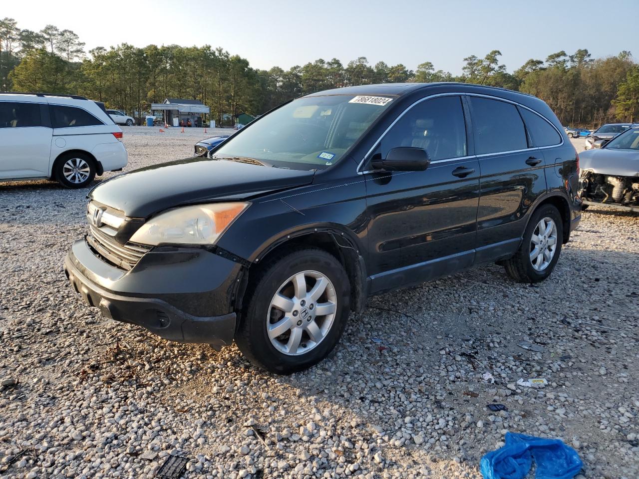 2009 Honda CR-V VIN JHLRE38769C013765