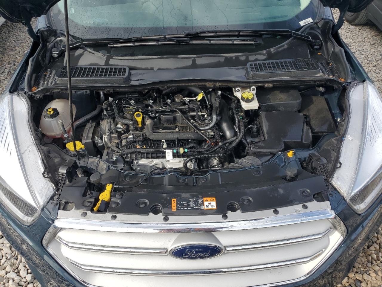 2019 Ford Escape VIN 1FMCU9GD5KUC54082 Copart auction photo, side damage thumbnail 11