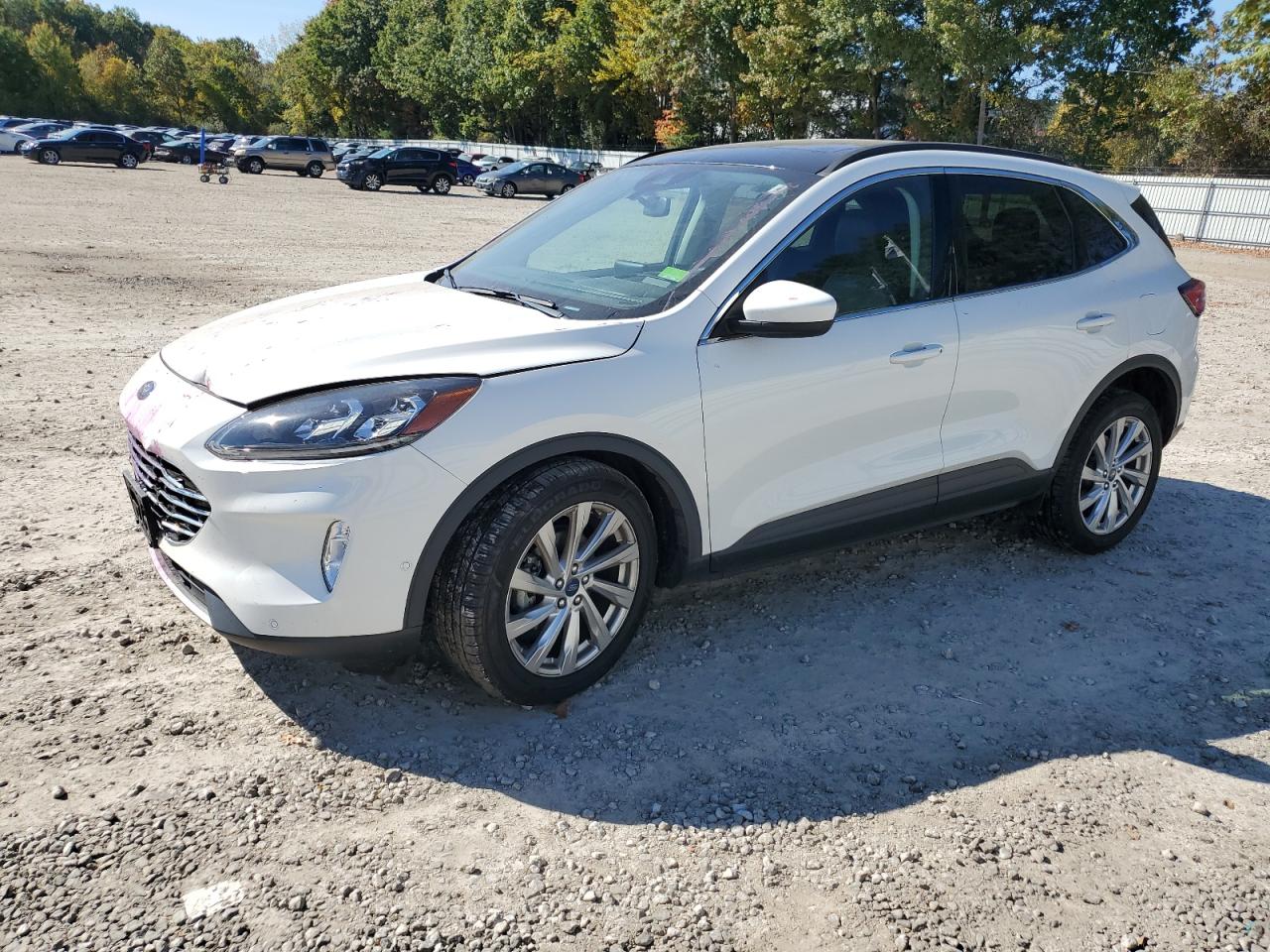 2021 Ford Escape VIN 1FMCU9J96MUA14613