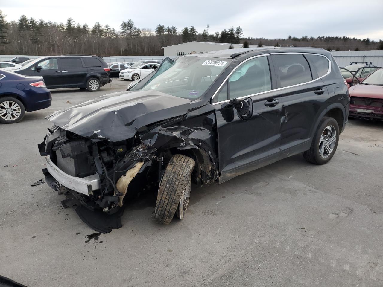 2023 Hyundai Santa Fe VIN 5NMS1DAJ2PH545079