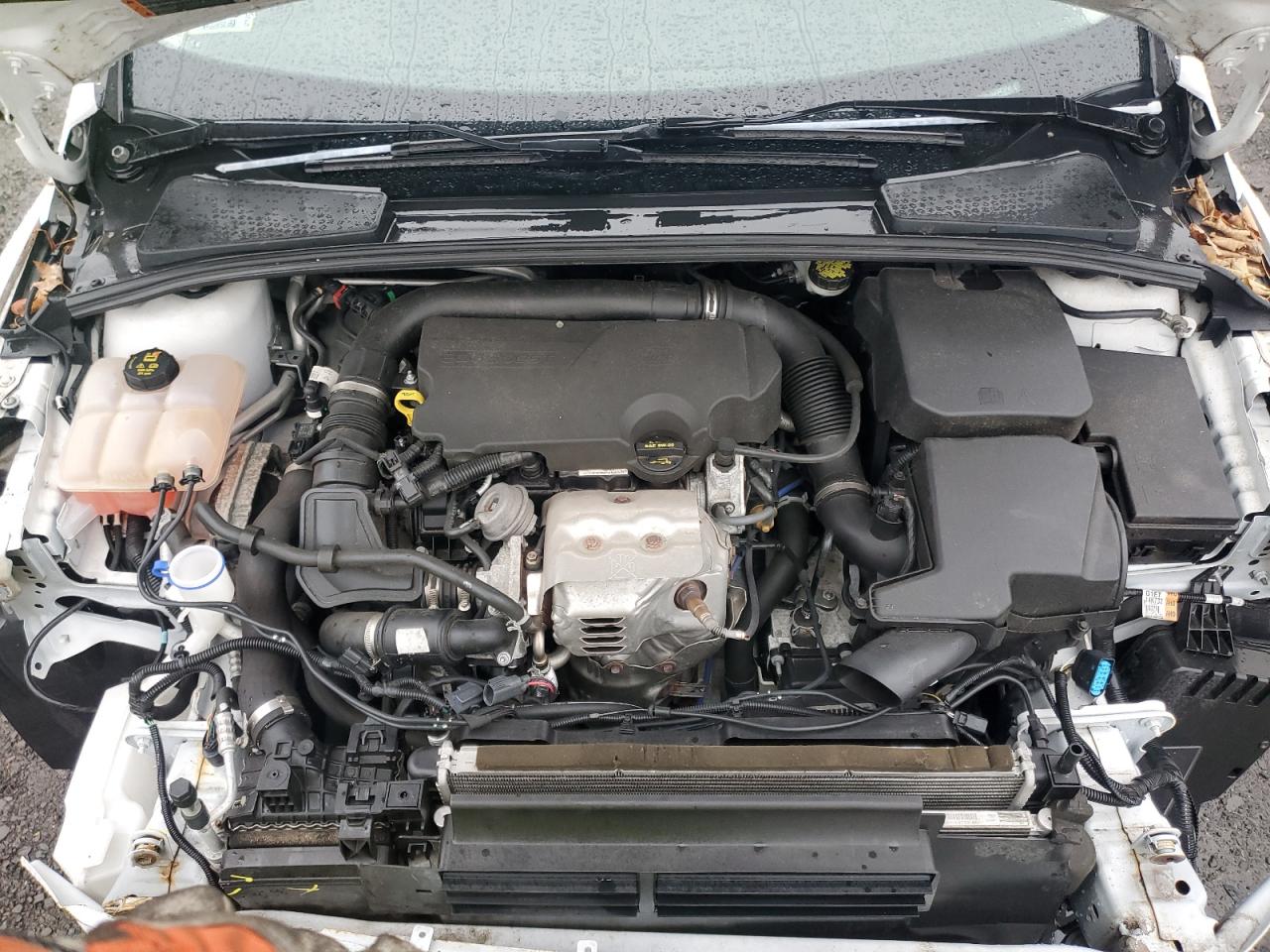 2016 Ford Focus VIN 1FADP3KEXGL303972 Copart auction photo, front end / minor dent/scratches damage thumbnail 11