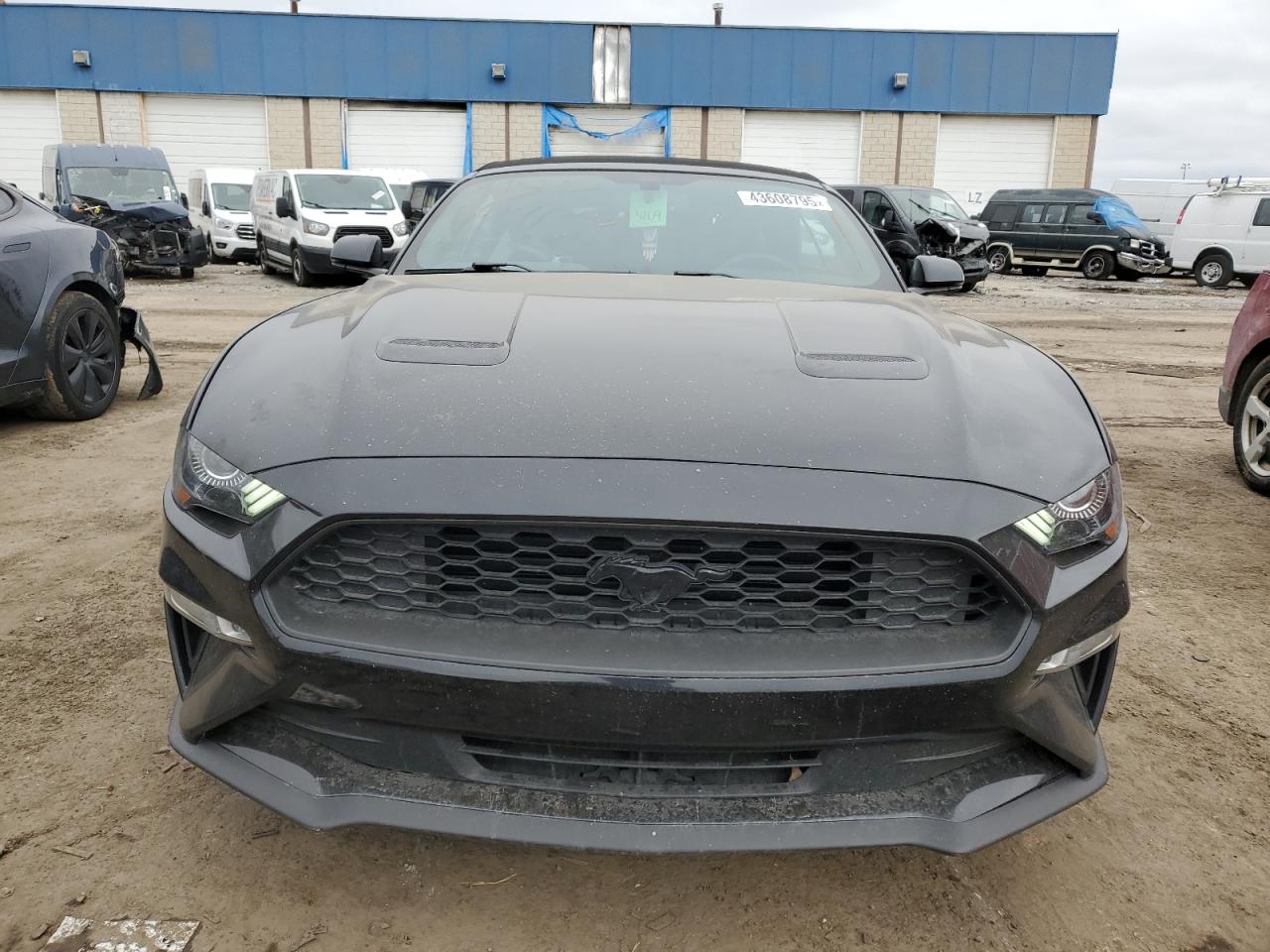 2019 Ford Mustang VIN 1FATP8UH1K5196047 Copart auction photo, rear end / side damage thumbnail 5