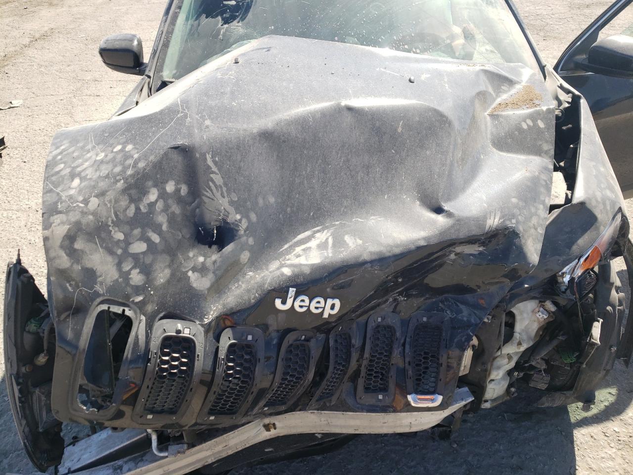 2014 Jeep Grand Cherokee VIN 1C4PJLDS2EW173130 Copart auction photo, front end / side damage thumbnail 11