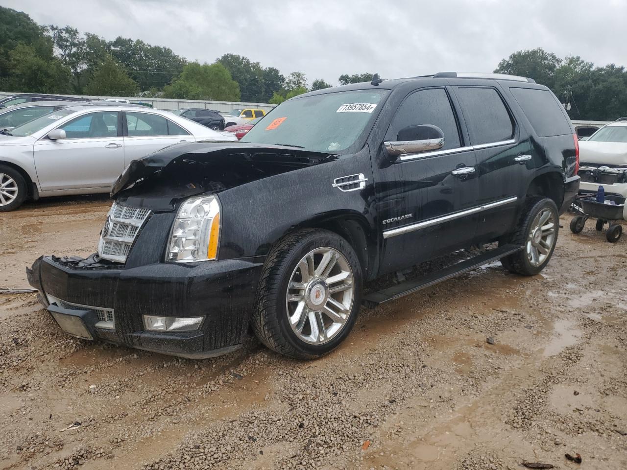 2012 Cadillac Escalade VIN 1GYS4DEF8CR221079