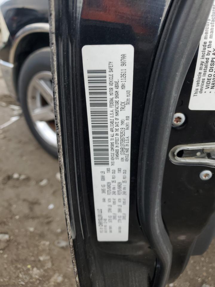 2009 Dodge RAM VIN 1D3HB13T59S752519 Copart auction photo, minor dent/scratches damage thumbnail 12