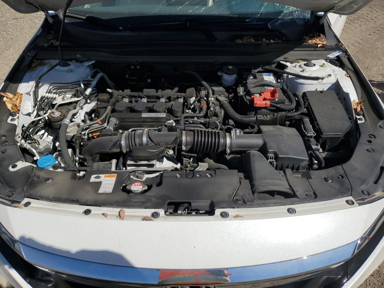 2020 Honda Accord VIN 1HGCV1F55LA001510 Copart auction photo, side damage thumbnail 11