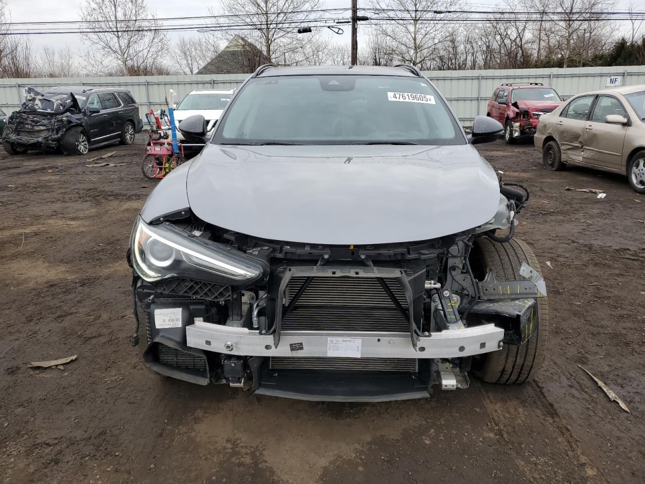 2020 Alfa Romeo Stelvio VIN ZASPAKAN6L7C95545 Copart auction photo, front end damage thumbnail 5