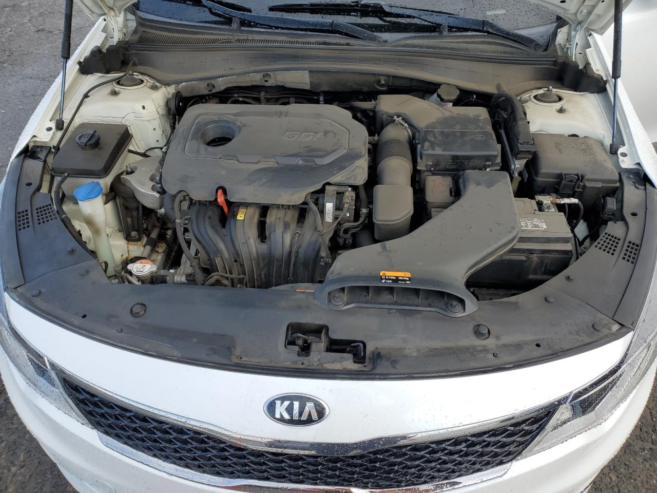 2016 KIA Optima VIN KNAGT4L31G5095360 Copart auction photo, rear end damage thumbnail 11