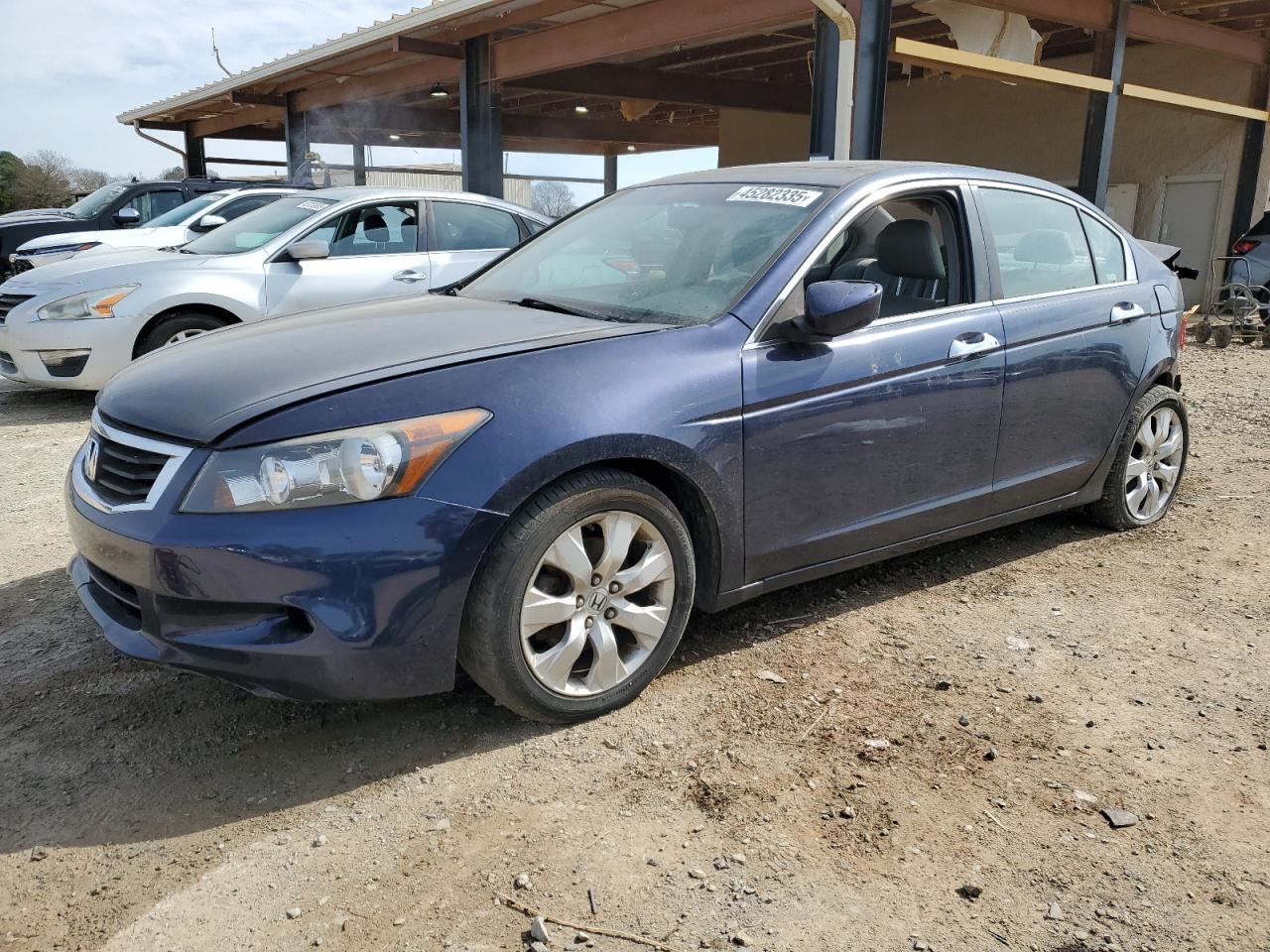 2009 Honda Accord VIN 1HGCP36869A033293