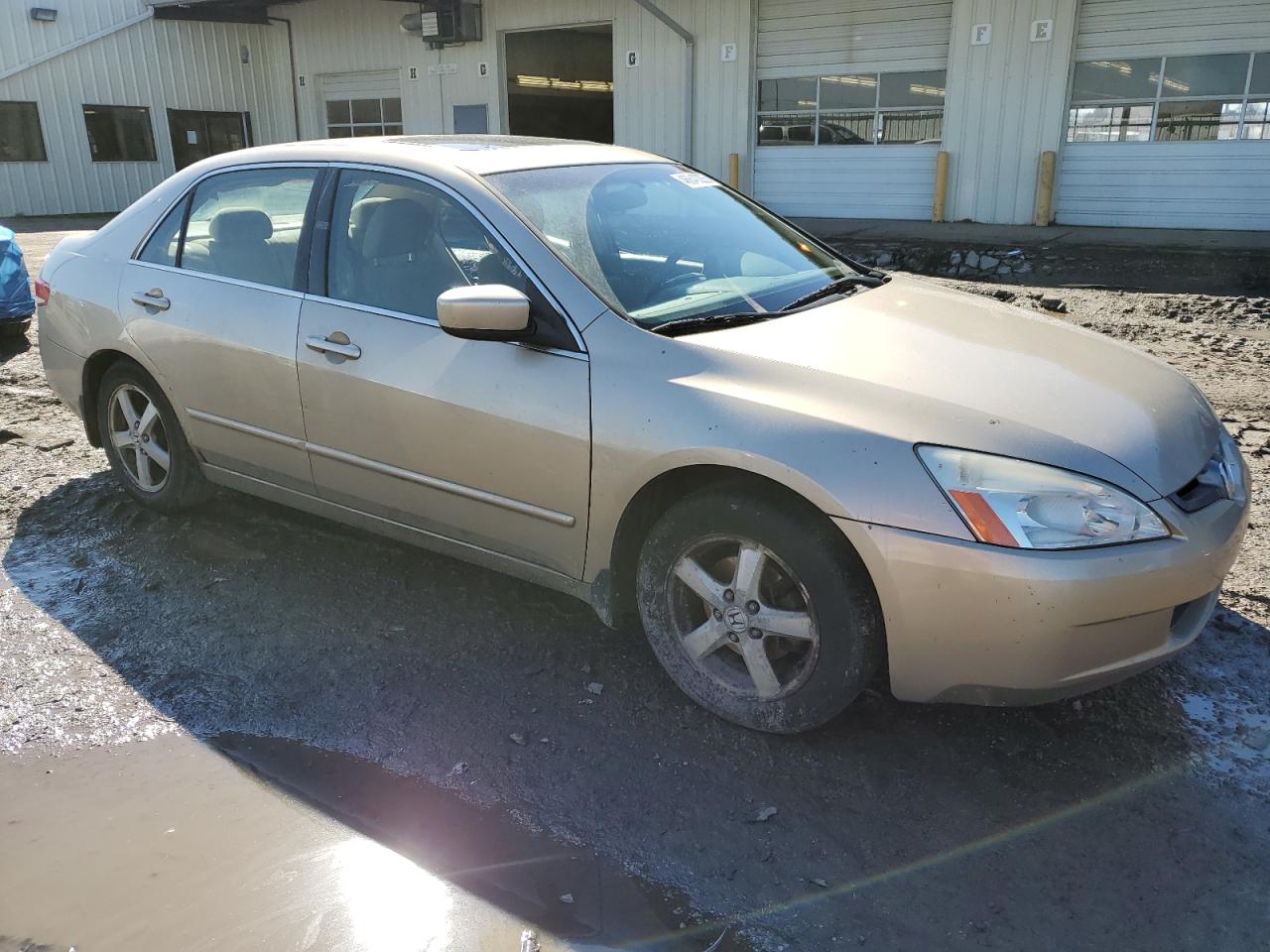 2004 Honda Accord VIN 1HGCM56654A144249 Copart auction photo, side / undercarriage damage thumbnail 4