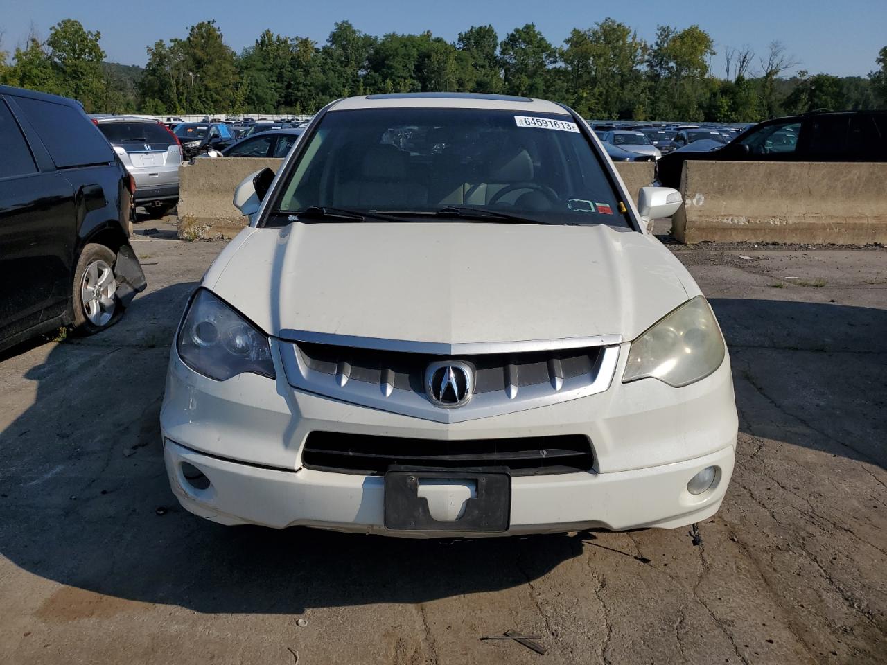 2009 Acura RDX VIN 5J8TB18559A006222 Copart auction photo, side damage thumbnail 5