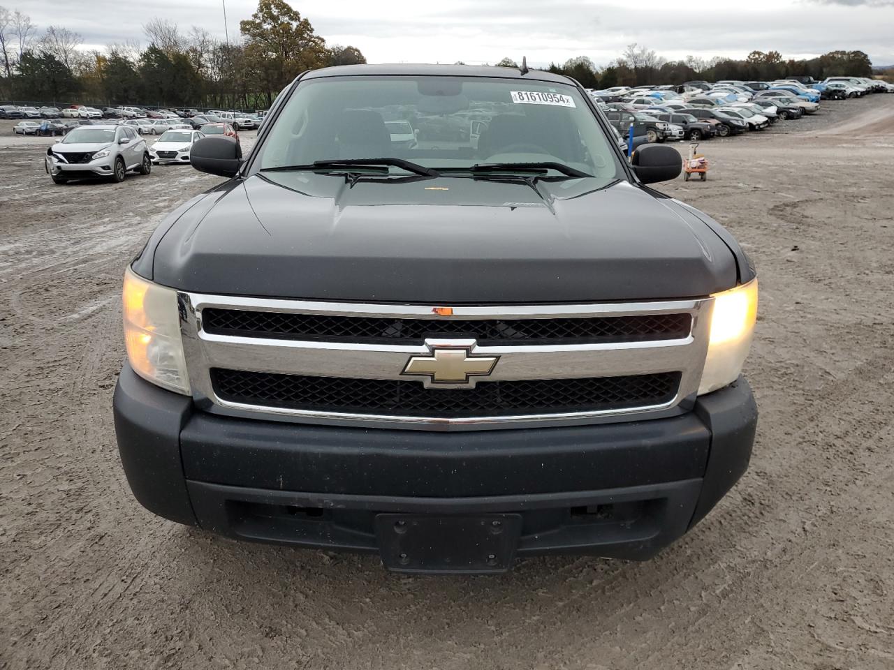 2007 Chevrolet Silverado VIN 2GCEC19C671575816 Copart auction photo, side / minor dent/scratches damage thumbnail 5