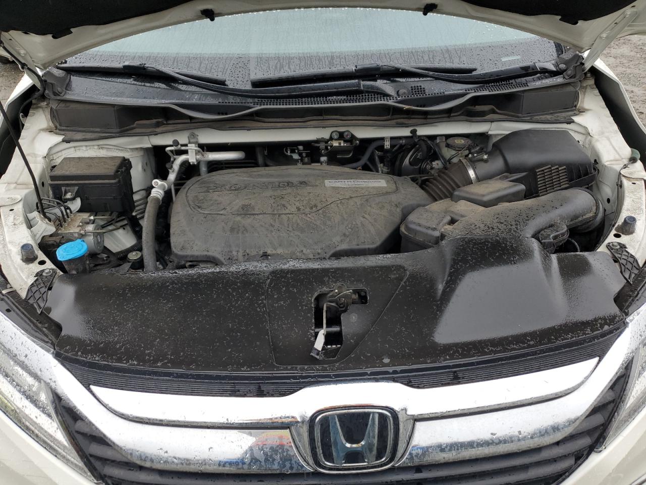 2019 Honda Odyssey VIN 5FNRL6H99KB022216 Copart auction photo, rear end damage thumbnail 12