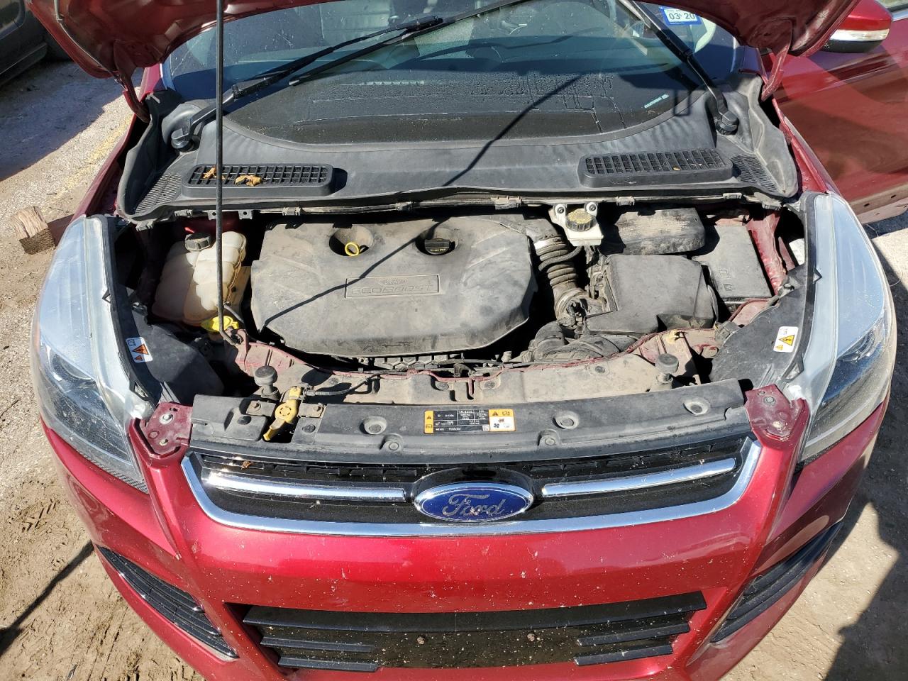 2014 Ford Escape VIN 1FMCU0J97EUD08468 Copart auction photo, rear end / side damage thumbnail 13