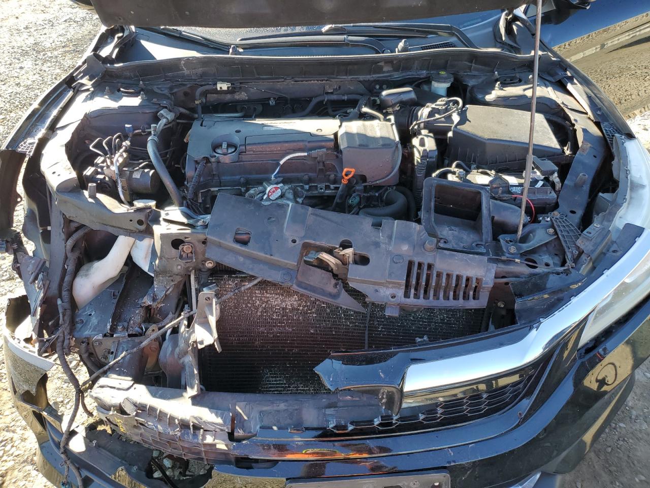 2016 Honda Accord VIN 1HGCR2F41GA066006 Copart auction photo, front end damage thumbnail 12
