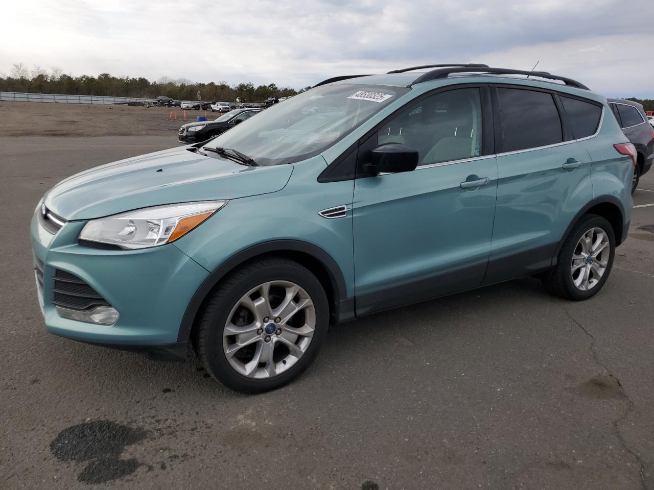 2013 Ford Escape VIN 1FMCU0GX0DUB81843