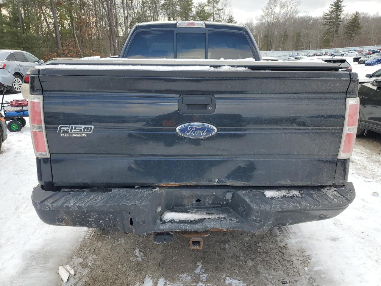 2009 Ford F-150 VIN 1FTPX14V29FB26974 Copart auction photo, rear end / front end damage thumbnail 6