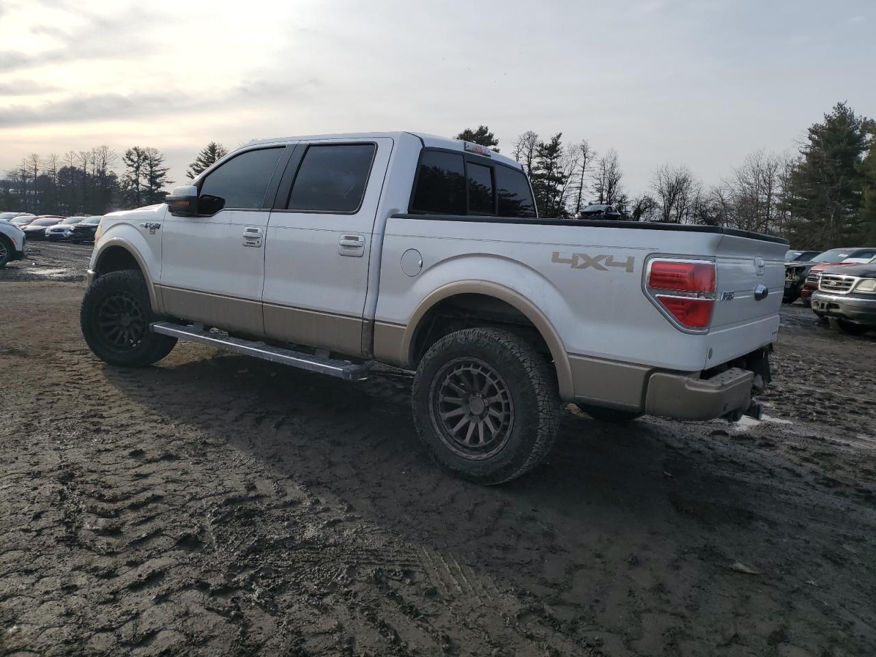 2011 Ford F-150 VIN 1FTFW1EFXBFA50917 Copart auction photo, rear end / minor dent/scratches damage thumbnail 2